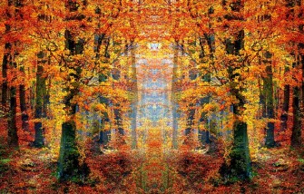 Se pr&eacute;parer pour accueillir lautomne en bonne sant&eacute;