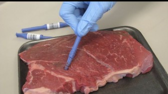 R&eacute;sidus de m&eacute;dicaments dans la viande