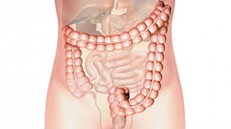 Cancers colorectaux : caract&eacute;ristiques anatomocliniques & facteurs histo-pronostiques