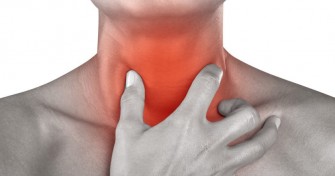 Angine herp&eacute;tique