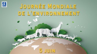 5 Juin : Journ&eacute;e mondiale de lenvironnement