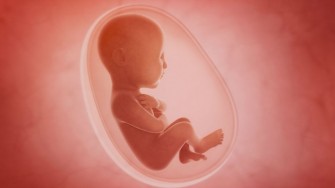 Les malformations cong&eacute;nitales et leur prise en charge