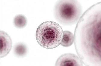 Retour sur la recherche r&eacute;volutionnaire qui a remport&eacute; le prix Nobel de m&eacute;decine 2018