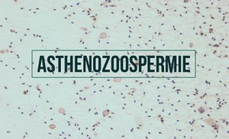 Asth&eacute;nospermie