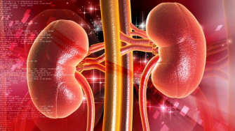 Les maladies r&eacute;nales chroniques en Alg&eacute;rie