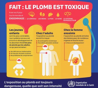 Intoxication au plomb : Dangers et pr&eacute;vention