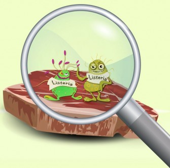 La list&eacute;riose