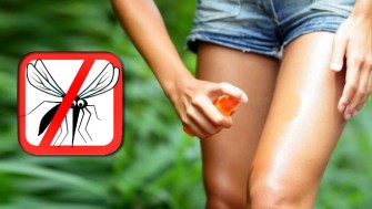 R&eacute;pulsifs naturel contre le moustique tigre