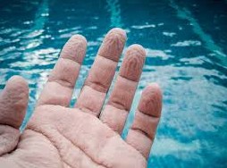 Les doigts  frip&eacute;s dans leau, une empreinte secr&egrave;te?