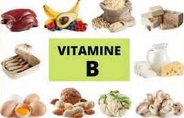 La S&eacute;rie des vitamines B et la production d&eacute;nergie