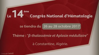 14&egrave;me C.N.H