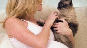 Les femmes enceintes ne sont pas &agrave; labri dune deuxi&egrave;me toxoplasmose