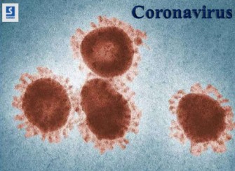  Virus &agrave; couronne - Le coronavirus