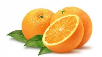 Tout sur... lorange : Une baie particuli&egrave;re