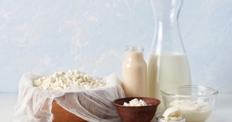 Vertus du lait ferment&eacute;