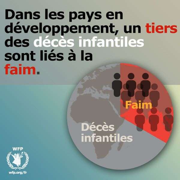 15 Juin : Journ&eacute;e mondiale contre la faim