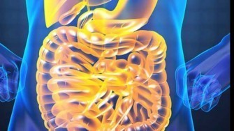 Journ&eacute;e annuelle mondiale sur la sant&eacute; digestive