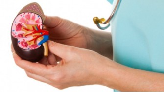 2&egrave;me S&eacute;minaire dUro-N&eacute;phrologie