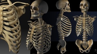 OS : &agrave; 206, ils font un homme