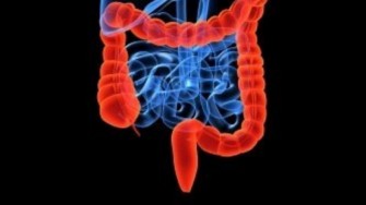 Les nouveaut&eacute;s &eacute;pid&eacute;miologiques en mati&egrave;re de cancers et d&rsquo;infections au cours des MICI