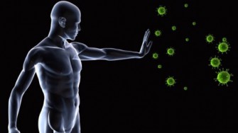 Parution d&rsquo;un ouvrage sur les h&eacute;patites virales