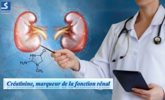 La cr&eacute;atinine