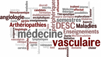 La Soci&eacute;t&eacute; Alg&eacute;rienne de M&eacute;decine Vasculaire